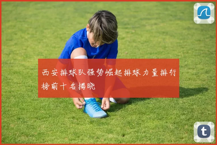 西安排球队强势崛起排球力量排行榜前十名揭晓