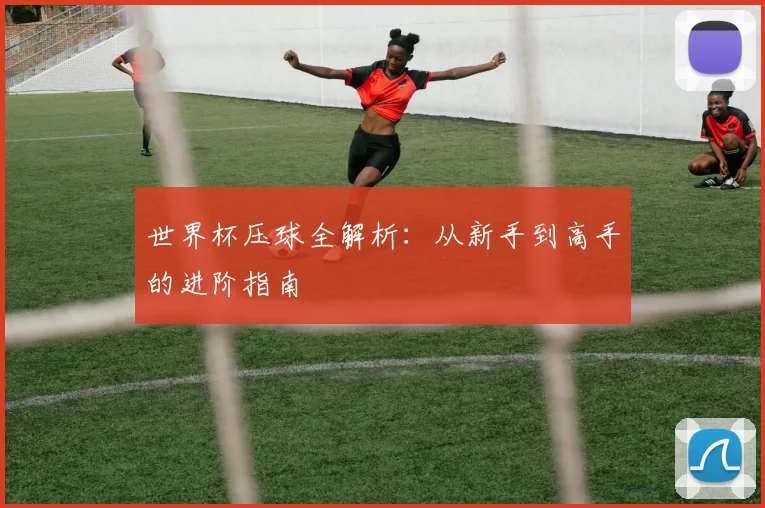 世界杯压球全解析：从新手到高手的进阶指南