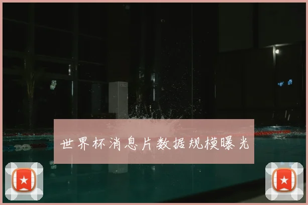 世界杯消息片数据规模曝光