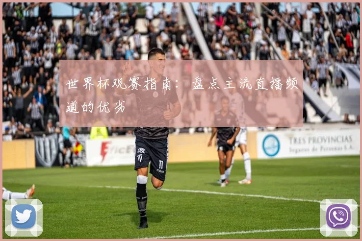 世界杯观赛指南:盘点主流直播频道的优劣