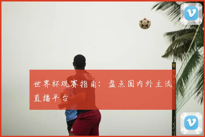 世界杯观赛指南:盘点国内外主流直播平台