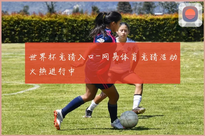 世界杯竞猜入口-网易体育竞猜活动火热进行中
