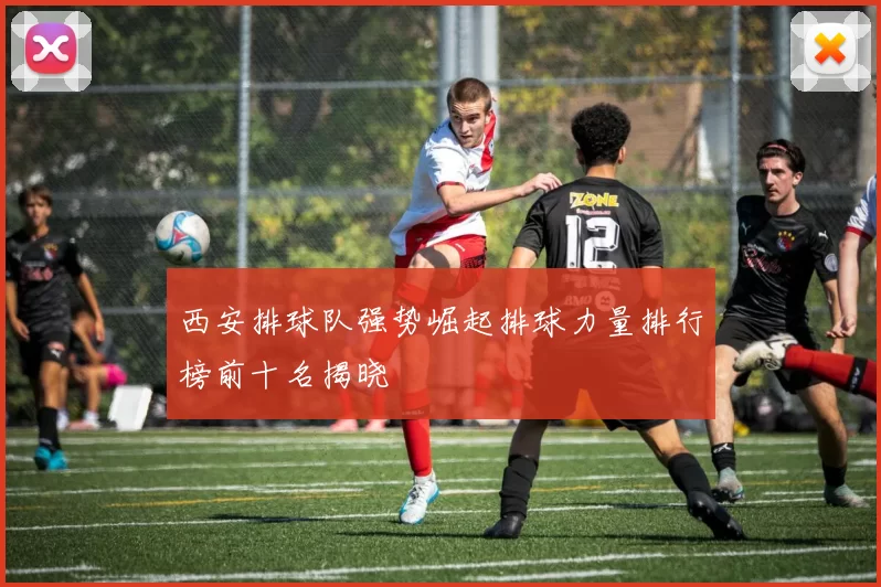 西安排球队强势崛起排球力量排行榜前十名揭晓