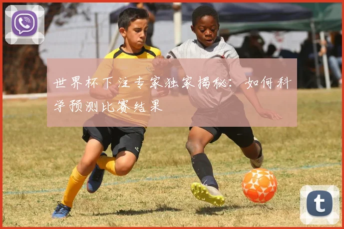 世界杯下注专家独家揭秘：如何科学预测比赛结果