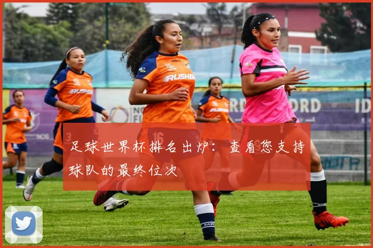 足球世界杯排名出炉:查看您支持球队的最终位次