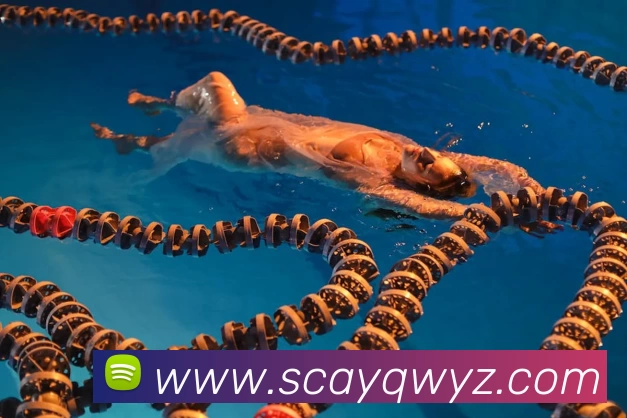 华体会体育APP 高清赛事图